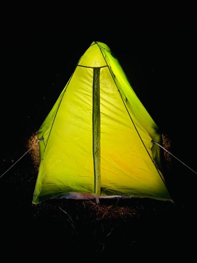 Dreamwoods A Travellers Farm Vandrerhjem Dharamshala Eksteriør bilde