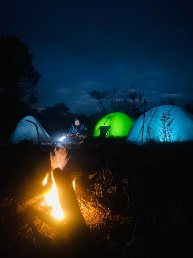 Dreamwoods A Travellers Farm Vandrerhjem Dharamshala Eksteriør bilde