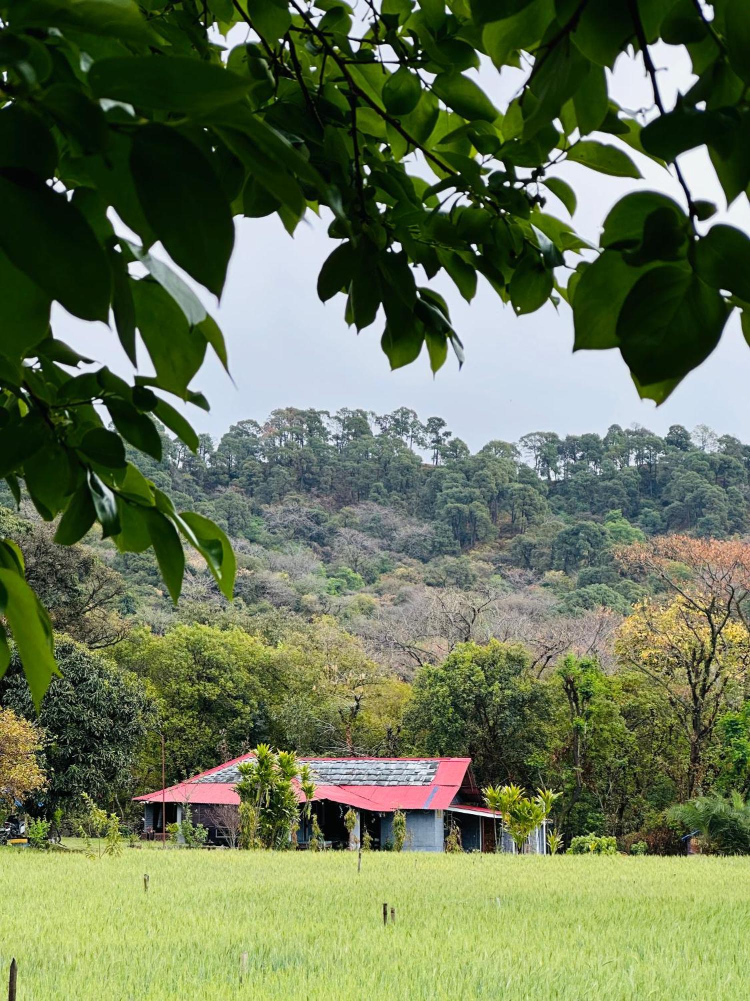 Dreamwoods A Travellers Farm Vandrerhjem Dharamshala Eksteriør bilde