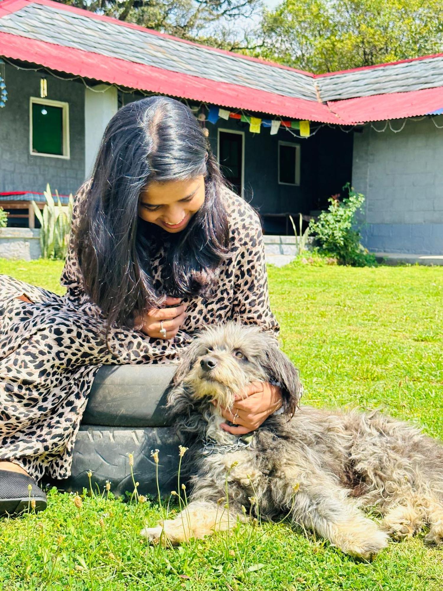 Dreamwoods A Travellers Farm Vandrerhjem Dharamshala Eksteriør bilde